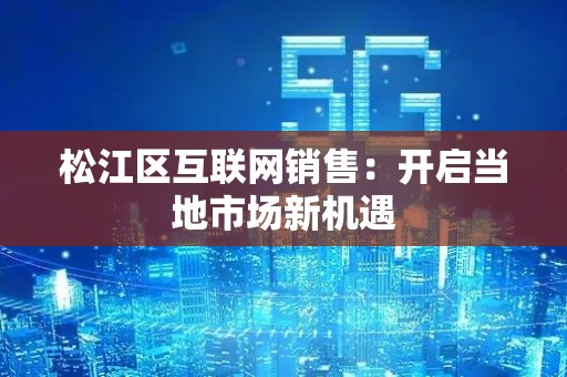 松江区互联网销售：开启当地市场新机遇