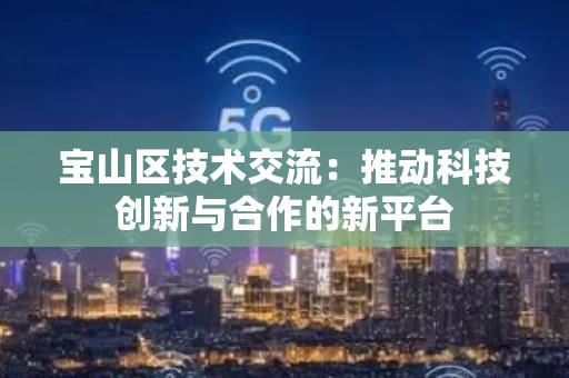 宝山区技术交流：推动科技创新与合作的新平台