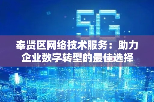 奉贤区网络技术服务：助力企业数字转型的最佳选择