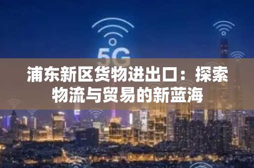 浦东新区货物进出口：探索物流与贸易的新蓝海