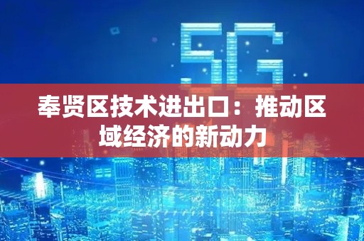 奉贤区技术进出口：推动区域经济的新动力