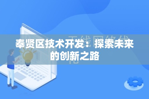 奉贤区技术开发：探索未来的创新之路
