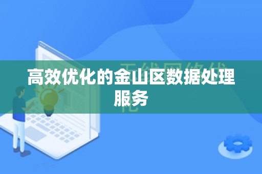 高效优化的金山区数据处理服务