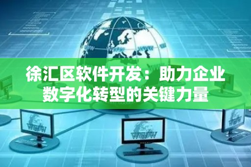 徐汇区软件开发：助力企业数字化转型的关键力量