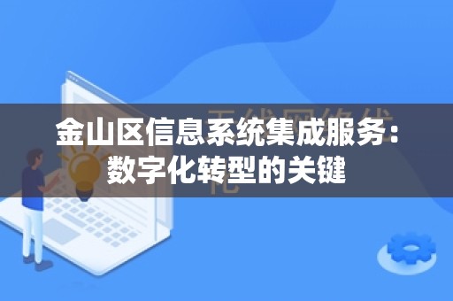 金山区信息系统集成服务：数字化转型的关键