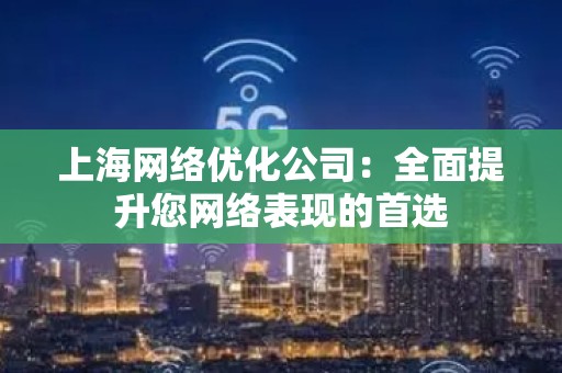上海网络优化公司：全面提升您网络表现的首选