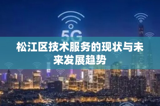 松江区技术服务的现状与未来发展趋势