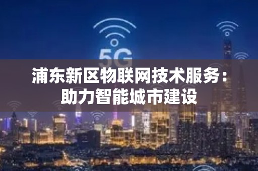 浦东新区物联网技术服务：助力智能城市建设