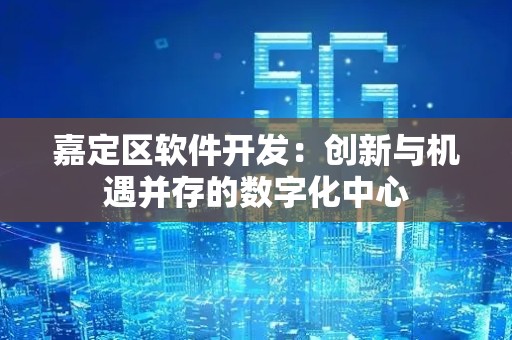 嘉定区软件开发：创新与机遇并存的数字化中心