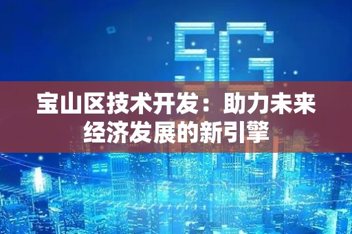 宝山区技术开发：助力未来经济发展的新引擎