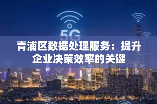 青浦区数据处理服务：提升企业决策效率的关键