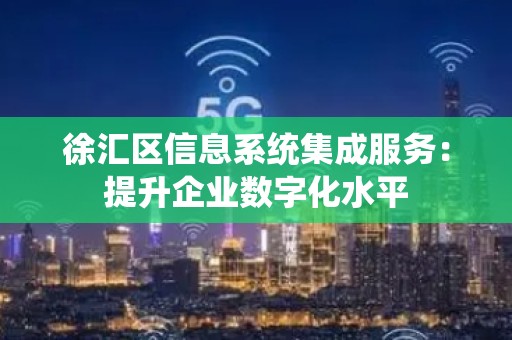 徐汇区信息系统集成服务：提升企业数字化水平