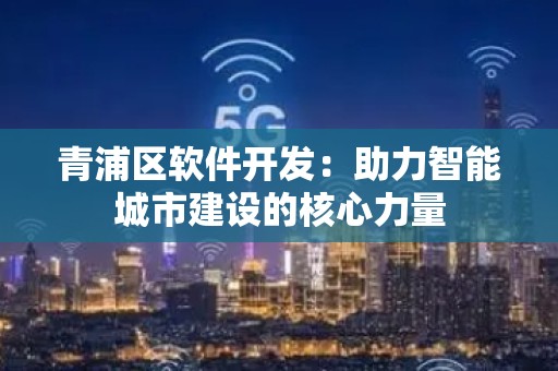 青浦区软件开发：助力智能城市建设的核心力量