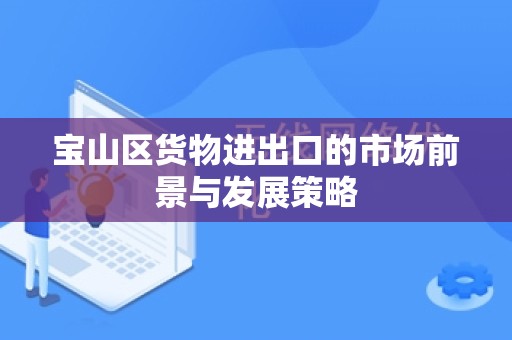 宝山区货物进出口的市场前景与发展策略