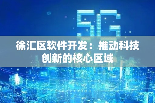 徐汇区软件开发：推动科技创新的核心区域
