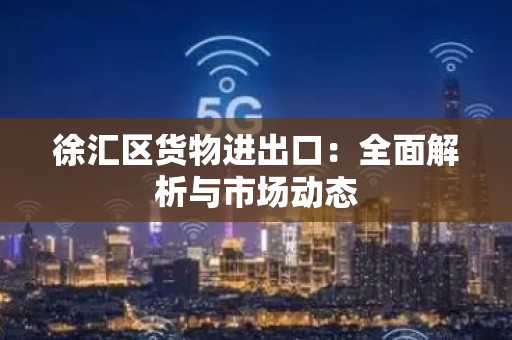 徐汇区货物进出口：全面解析与市场动态