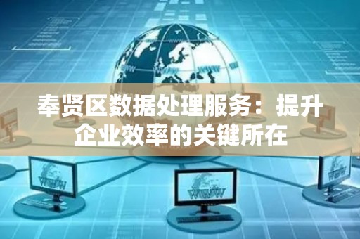 奉贤区数据处理服务：提升企业效率的关键所在