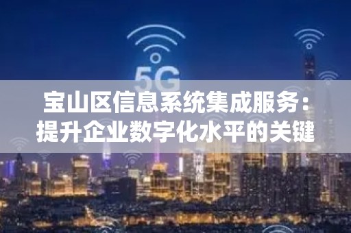 宝山区信息系统集成服务：提升企业数字化水平的关键