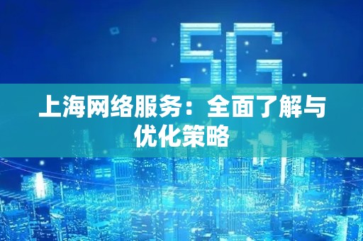 上海网络服务：全面了解与优化策略