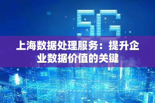 上海数据处理服务：提升企业数据价值的关键