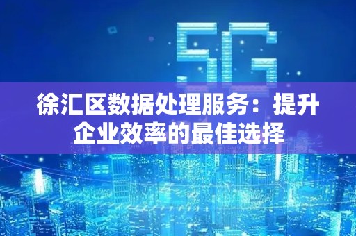 徐汇区数据处理服务：提升企业效率的最佳选择