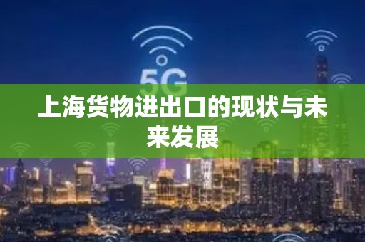 上海货物进出口的现状与未来发展