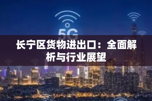 长宁区货物进出口：全面解析与行业展望