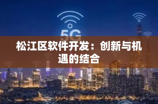 松江区软件开发：创新与机遇的结合