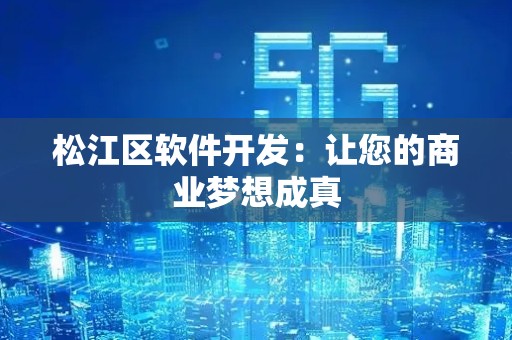 松江区软件开发：让您的商业梦想成真