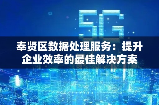 奉贤区数据处理服务：提升企业效率的最佳解决方案