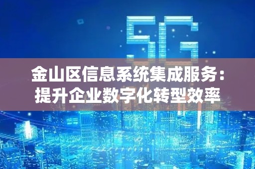 金山区信息系统集成服务：提升企业数字化转型效率