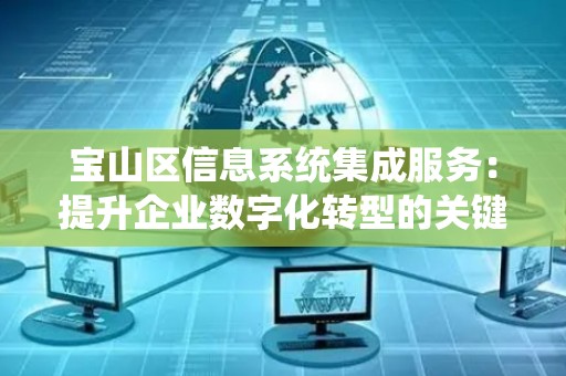 宝山区信息系统集成服务：提升企业数字化转型的关键