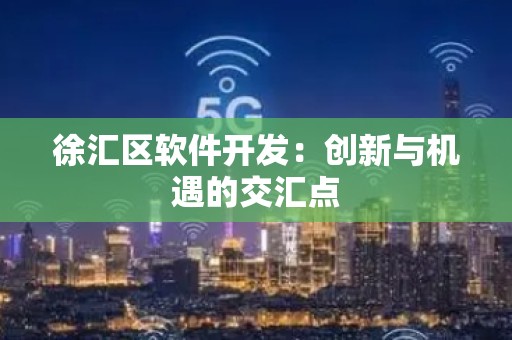 徐汇区软件开发：创新与机遇的交汇点