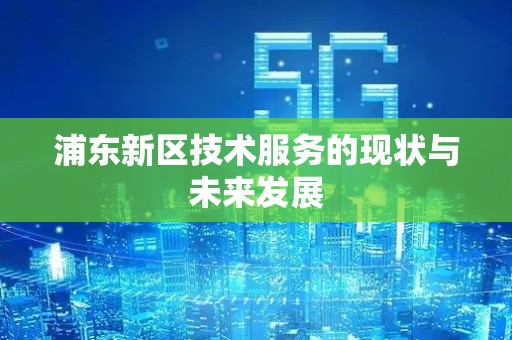 浦东新区技术服务的现状与未来发展