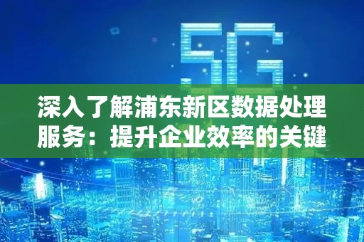深入了解浦东新区数据处理服务：提升企业效率的关键