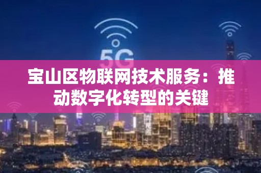 宝山区物联网技术服务：推动数字化转型的关键
