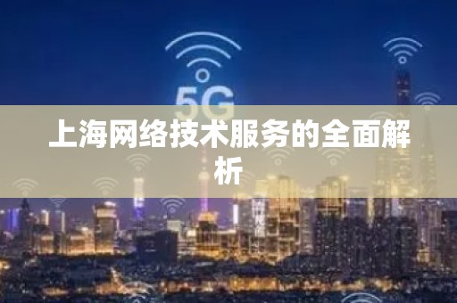 上海网络技术服务的全面解析