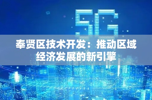 奉贤区技术开发：推动区域经济发展的新引擎