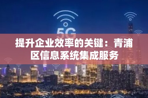 提升企业效率的关键：青浦区信息系统集成服务