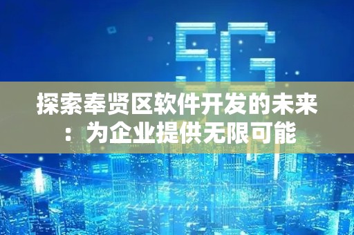 探索奉贤区软件开发的未来：为企业提供无限可能