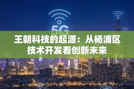 王朝科技的起源：从杨浦区技术开发看创新未来