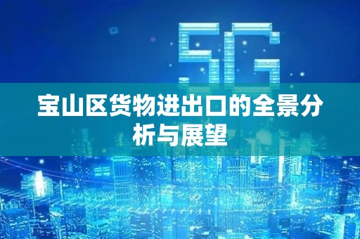 宝山区货物进出口的全景分析与展望