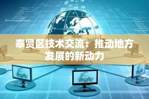 奉贤区技术交流：推动地方发展的新动力