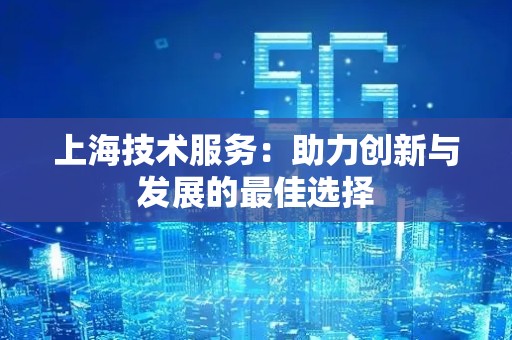 上海技术服务：助力创新与发展的最佳选择