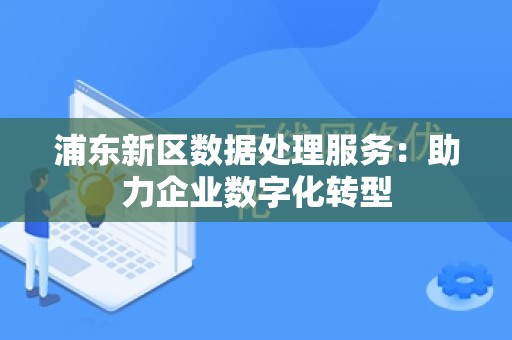 浦东新区数据处理服务：助力企业数字化转型