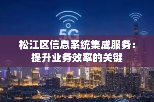 松江区信息系统集成服务：提升业务效率的关键