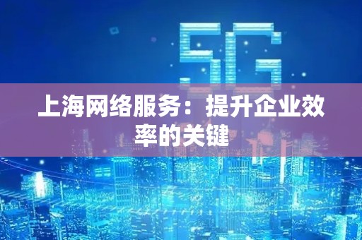 上海网络服务：提升企业效率的关键