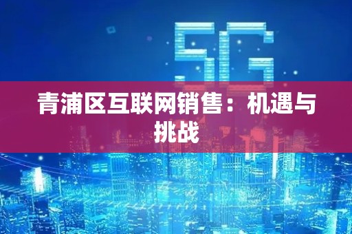 青浦区互联网销售：机遇与挑战