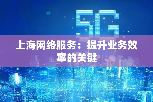 上海网络服务：提升业务效率的关键