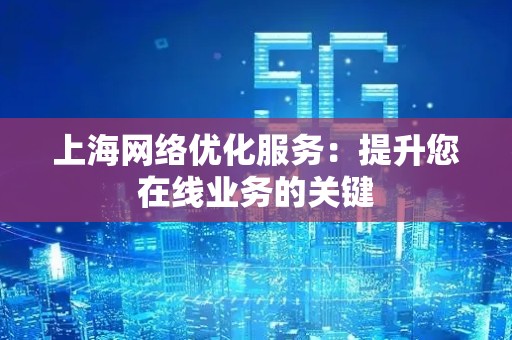 上海网络优化服务：提升您在线业务的关键
